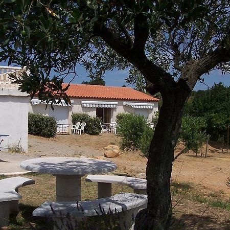 Le Fenouillet Chambres D'Hotes Proche Des Grands Buffets Narbonne Eksteriør bilde